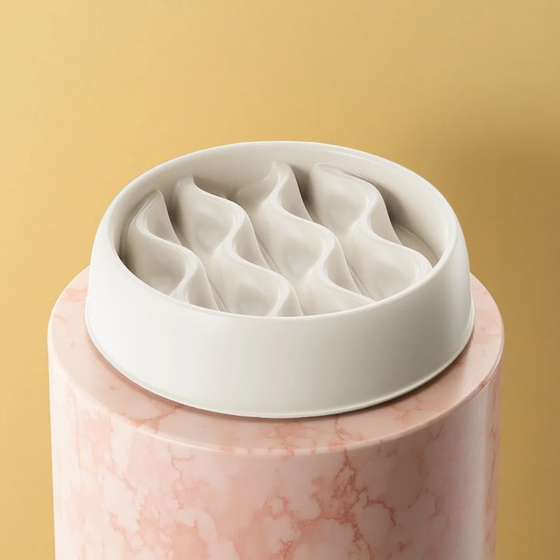 Professional Fashion SlowFeeder Dual Cat Bowl Set 4