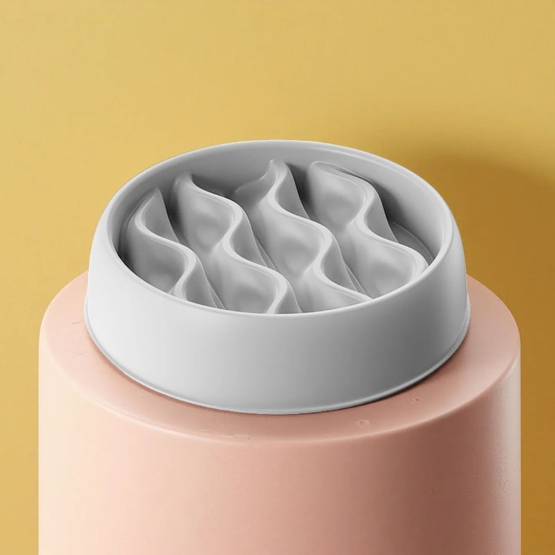 Professional Fashion SlowFeeder Dual Cat Bowl Set 6