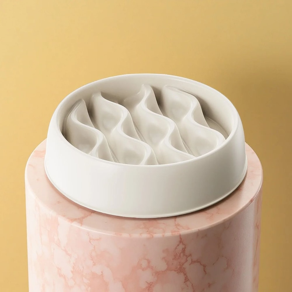 Professional Fashion SlowFeeder Dual Cat Bowl Set 7