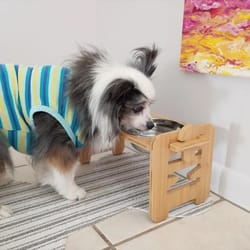 professional adjustable wooden raised pet feeding station