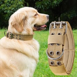 professional adjustable military dog collar with metal hardware
