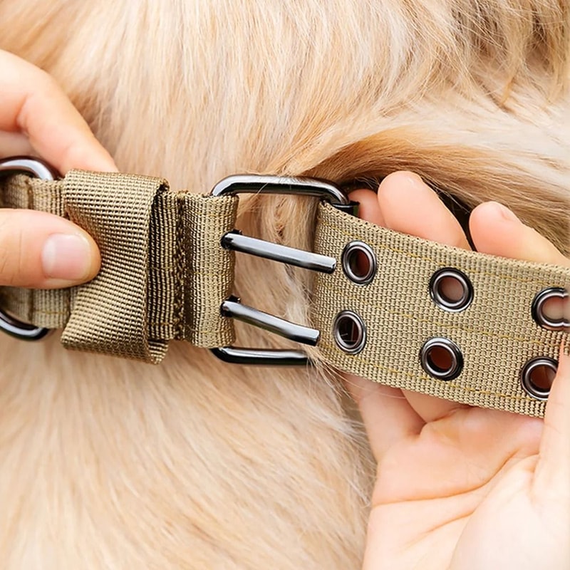Professional Adjustable Military Dog Collar With Metal Hardware 3