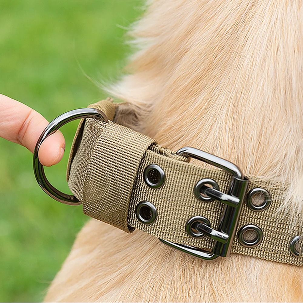 Professional Adjustable Military Dog Collar With Metal Hardware 4
