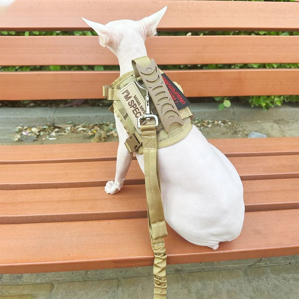 Professional Tactical Nylon Cat And Small Dog Harness Leash Kit 2