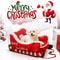 Christmas Sleigh Festive Plush Pet Bed 0