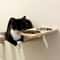 WallMounted Cat Feeding Station With Double Stainless Steel Bowls 1