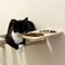 WallMounted Cat Feeding Station With Double Stainless Steel Bowls 1