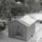 Fully Insulated Shelter For Stray And Feral Cats 4