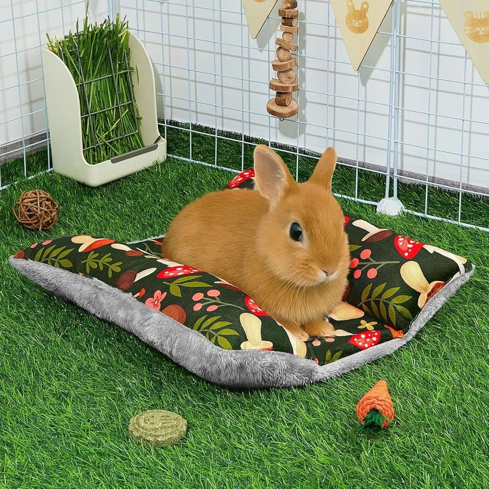 Thickened Soft DoubleSided Bunny Bed Mat 3