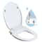 Elongated Bidet Toilet Seat With SlowClose Technology 8