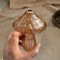 Whimsical Mushroom Glass Hydroponic Vase And Aromatherapy Bottle 4