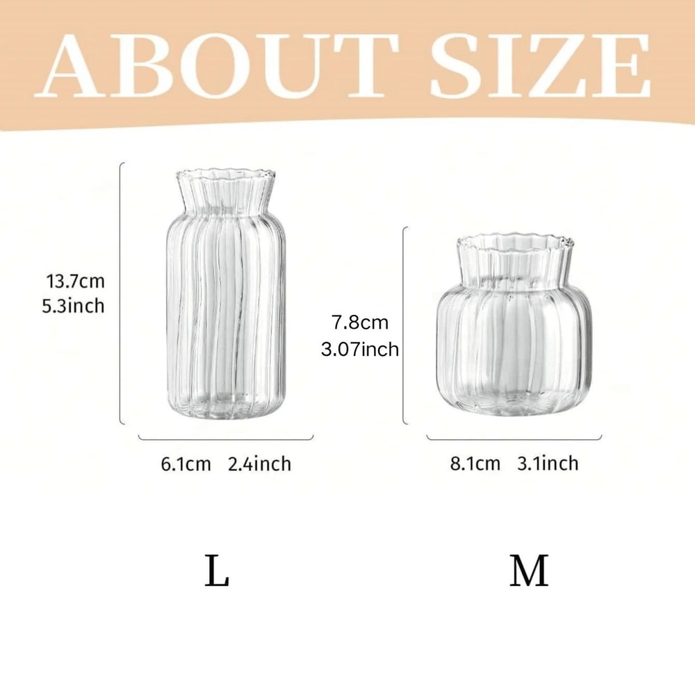 Nordic High Borosilicate Glass Hydroponic Terrarium 6