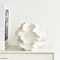 Nordic Minimalist Ceramic Coral Mirage Vase 1