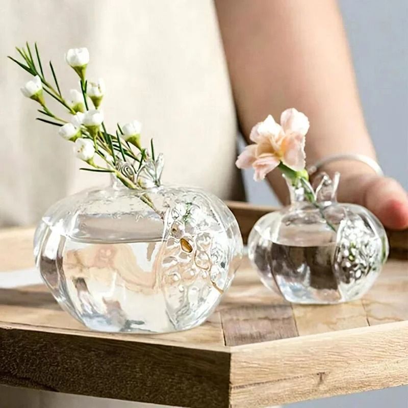Mini Pomegranate Glass Hydroponic Vase And Desktop Planter 1