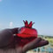 Mini Pomegranate Glass Hydroponic Vase And Desktop Planter 2