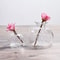 Mini Pomegranate Glass Hydroponic Vase And Desktop Planter 4