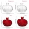 Mini Pomegranate Glass Hydroponic Vase And Desktop Planter 5