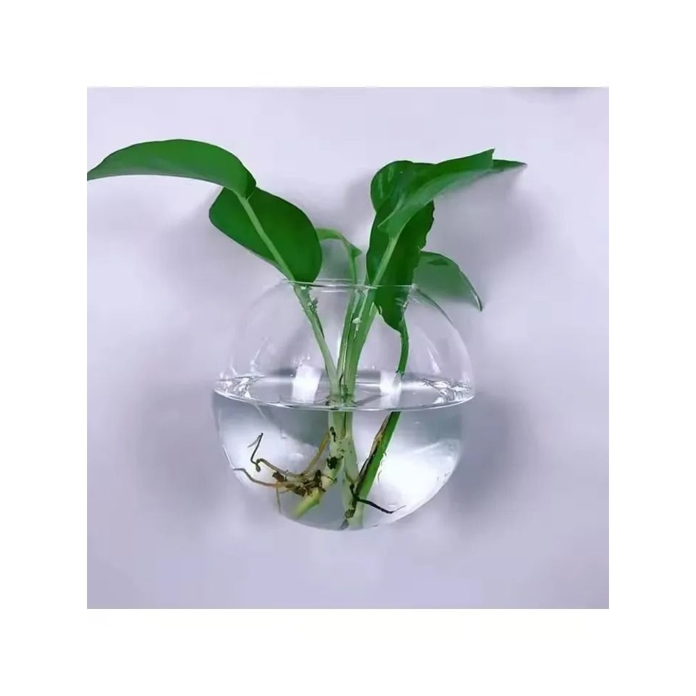 2 Pack Wall Hanging Glass Terrarium And Hydroponic Planter 2