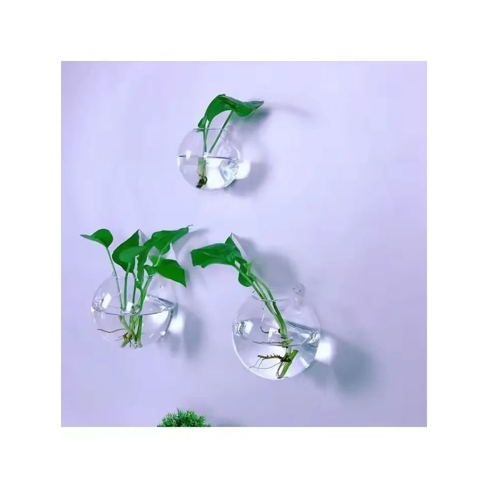 2 Pack Wall Hanging Glass Terrarium And Hydroponic Planter 3