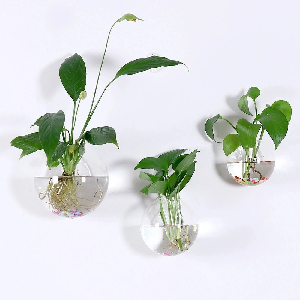 2 Pack Wall Hanging Glass Terrarium And Hydroponic Planter 0