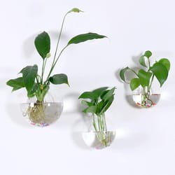 2 pack wall hanging glass terrarium and hydroponic planter