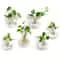 2 Pack Wall Hanging Glass Terrarium And Hydroponic Planter 5