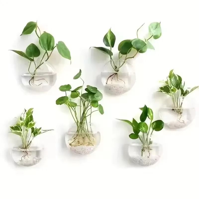 2 Pack Wall Hanging Glass Terrarium And Hydroponic Planter 5