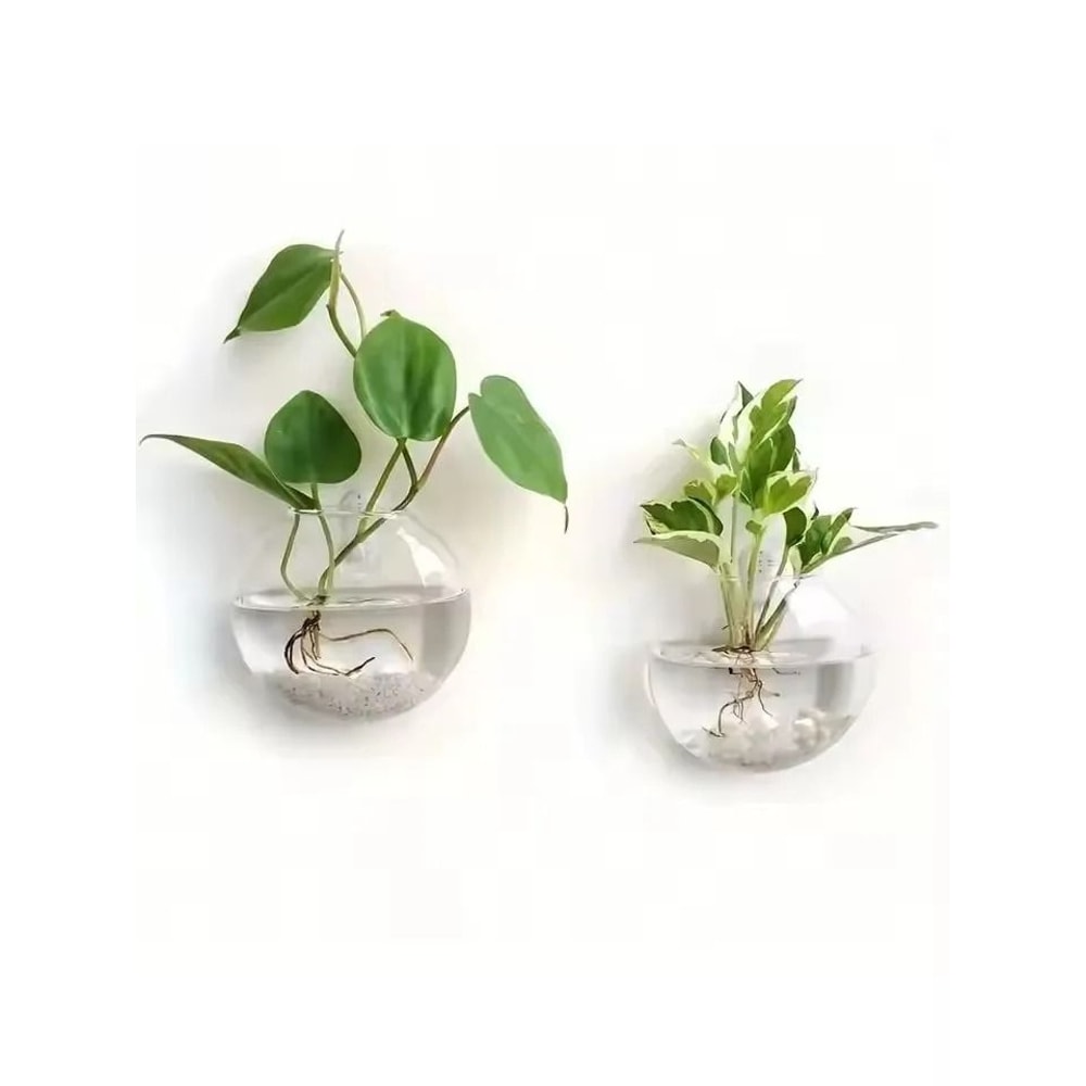 2 Pack Wall Hanging Glass Terrarium And Hydroponic Planter 6