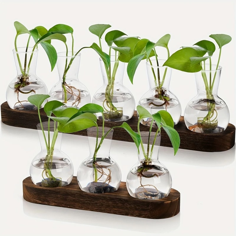 Modern Plant Terrarium Glass Vase With Wooden Tray 0