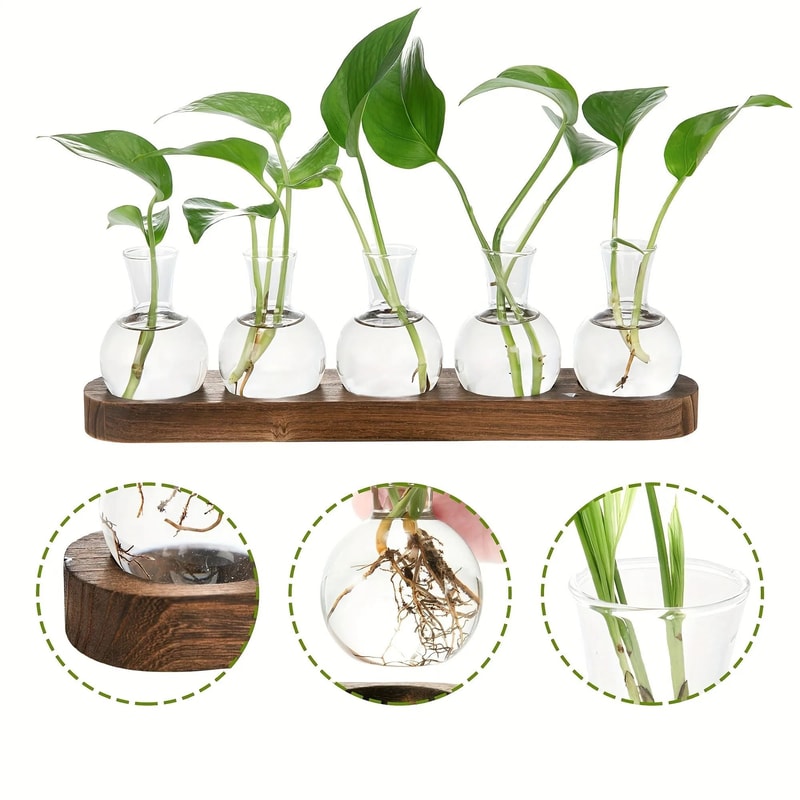 Modern Plant Terrarium Glass Vase With Wooden Tray 4