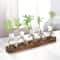 Modern Plant Terrarium Glass Vase With Wooden Tray 5