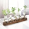 Modern Plant Terrarium Glass Vase With Wooden Tray 5