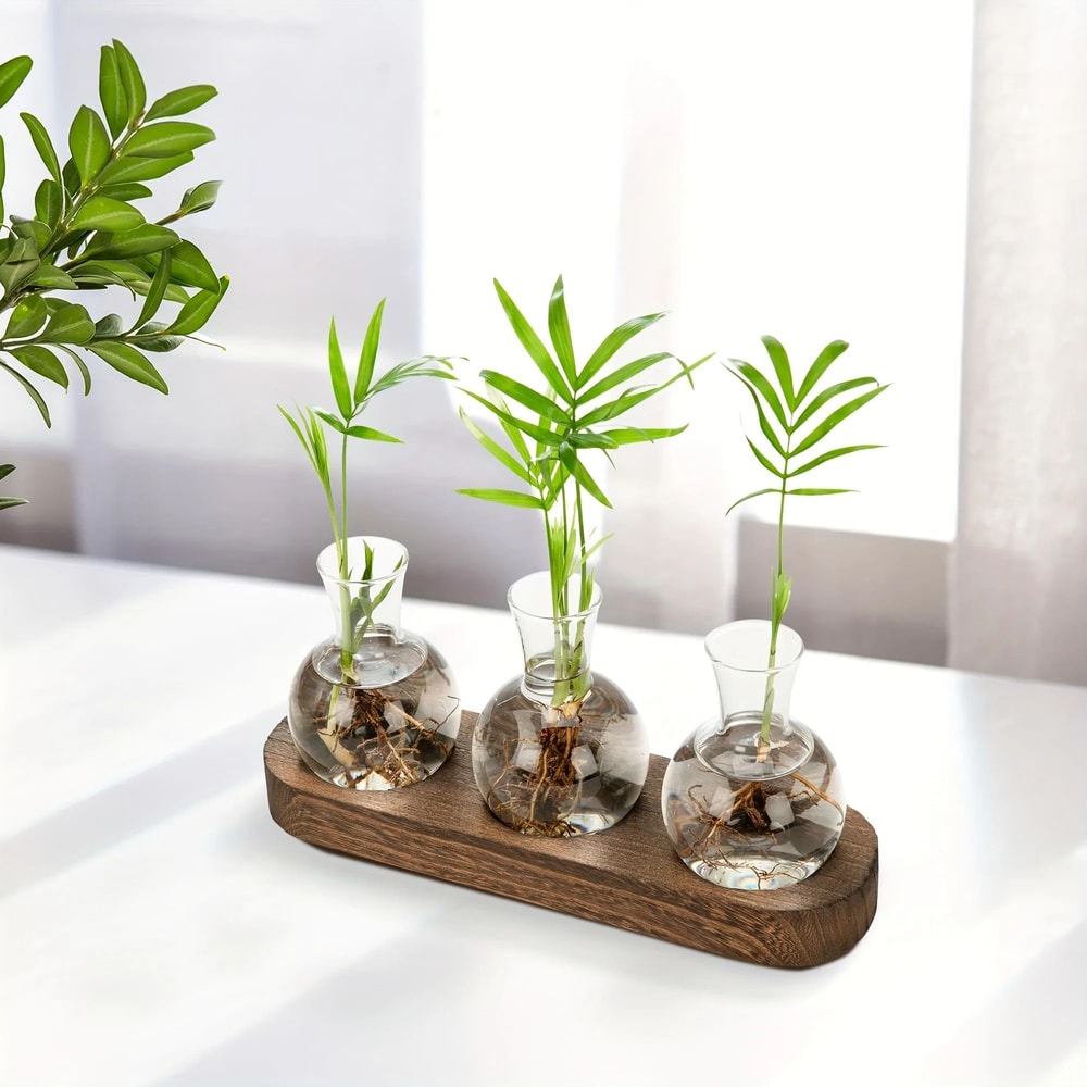 Modern Plant Terrarium Glass Vase With Wooden Tray 6
