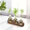 Modern Plant Terrarium Glass Vase With Wooden Tray 6