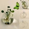 Wall Hanging Glass Hydroponic Terrarium And Fish Tank 0