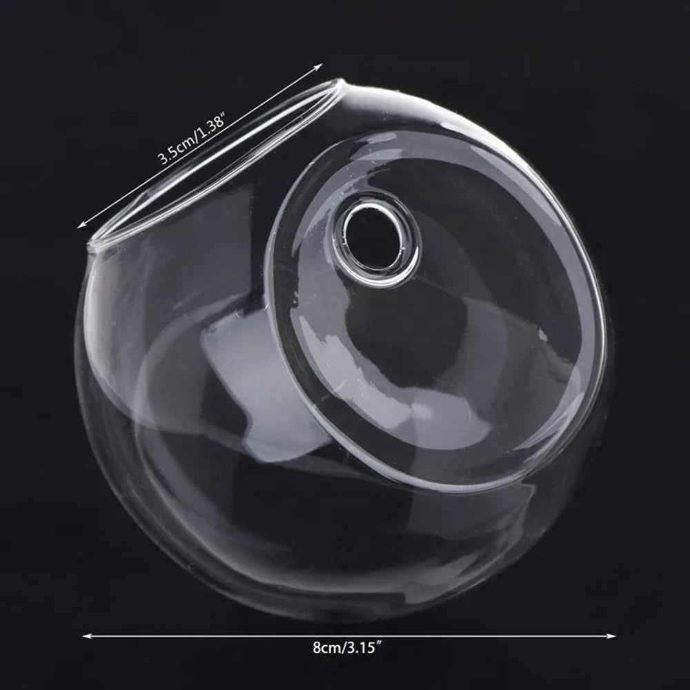 Wall Hanging Glass Hydroponic Terrarium And Fish Tank 7