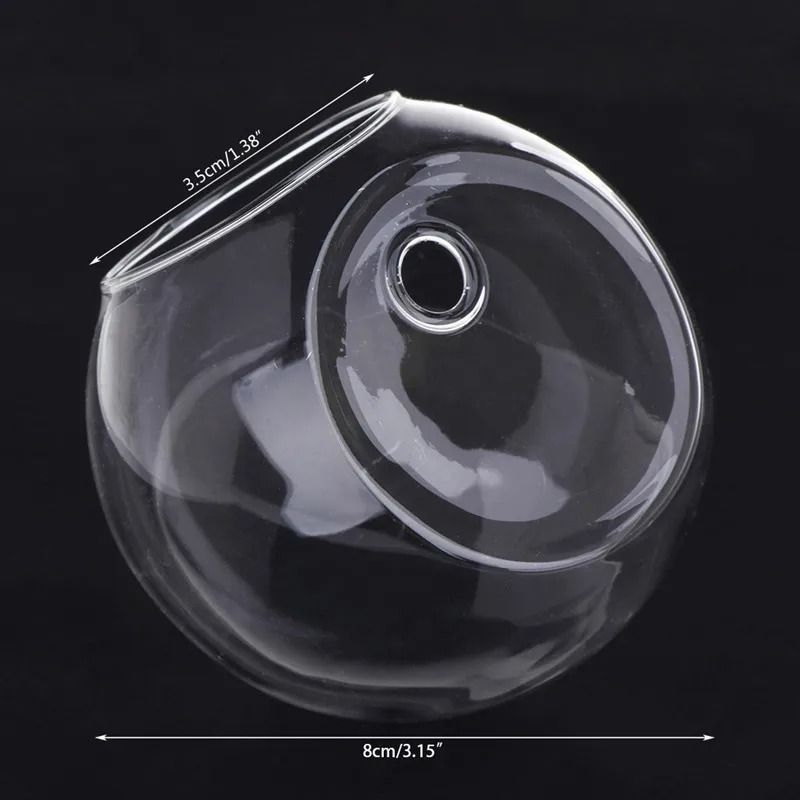 Wall Hanging Glass Hydroponic Terrarium And Fish Tank 7