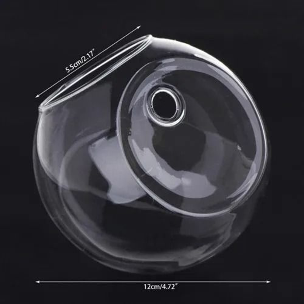 Wall Hanging Glass Hydroponic Terrarium And Fish Tank 8