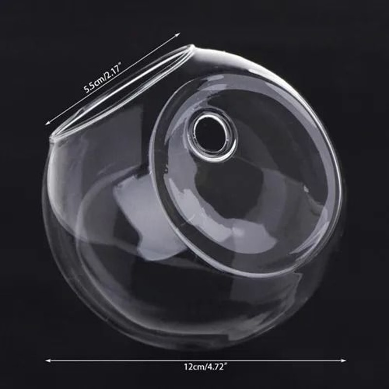 Wall Hanging Glass Hydroponic Terrarium And Fish Tank 8