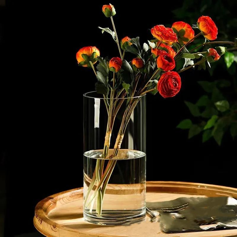 Desktop Glass Planter And Transparent Cylinder Vase 2