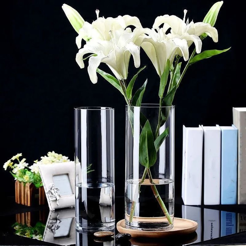 Desktop Glass Planter And Transparent Cylinder Vase 3