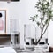 Desktop Glass Planter And Transparent Cylinder Vase 4