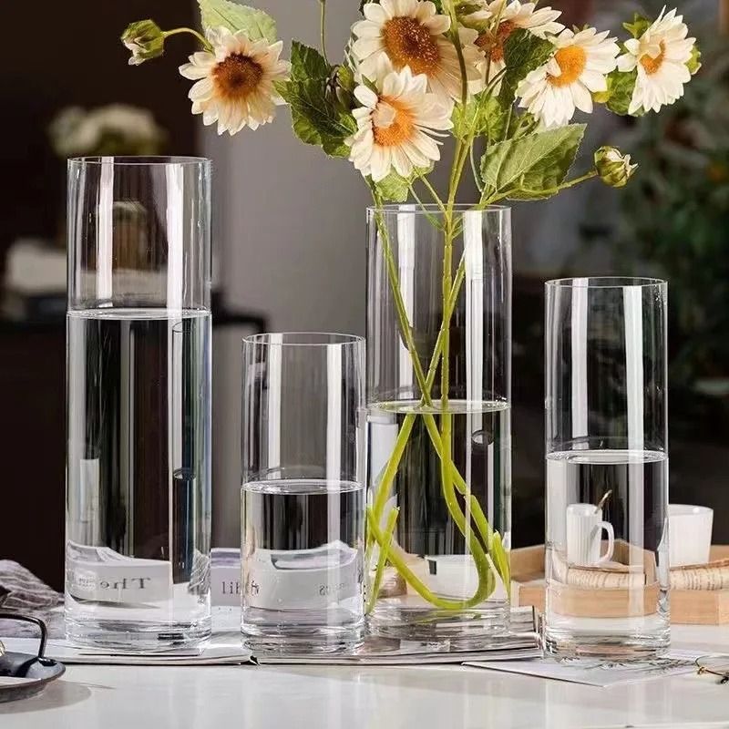 Desktop Glass Planter And Transparent Cylinder Vase 5