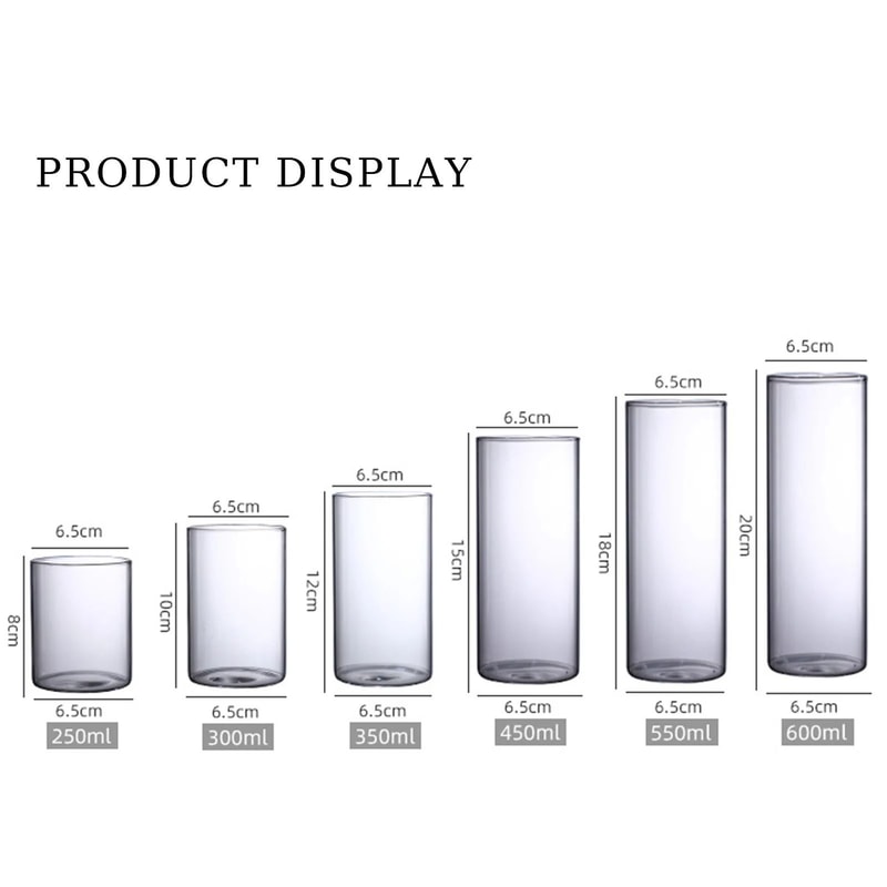 Desktop Glass Planter And Transparent Cylinder Vase 6