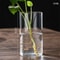 Desktop Glass Planter And Transparent Cylinder Vase 7