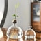 Avocado Seed Starter Glass Bulb Vase 1