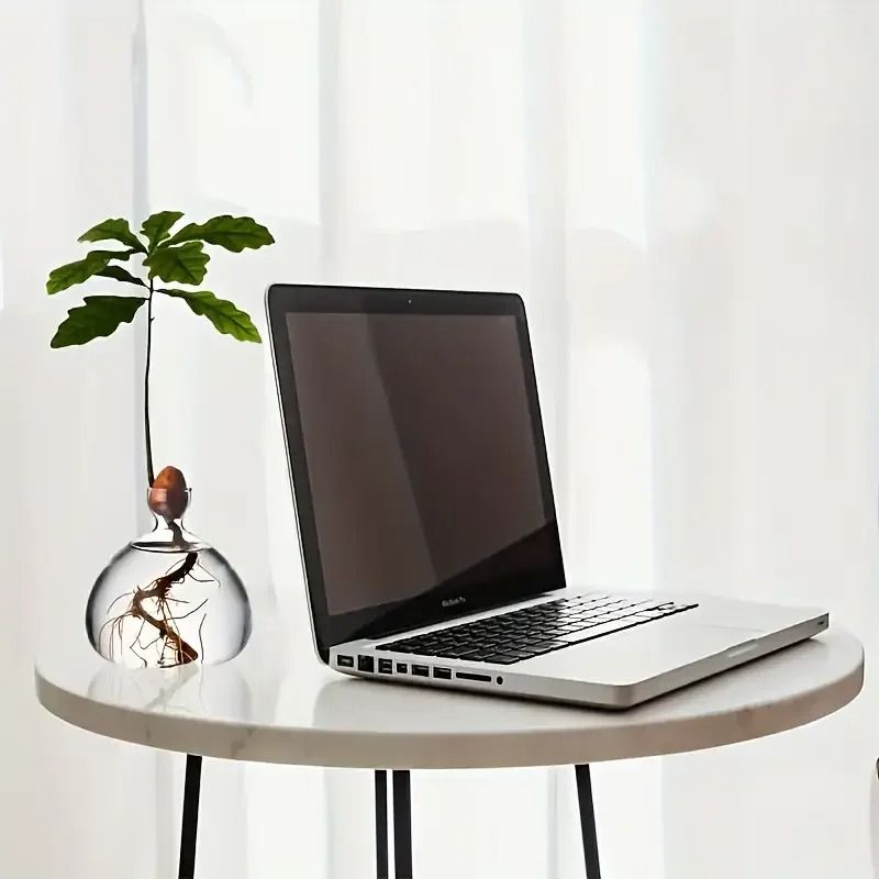Avocado Seed Starter Glass Bulb Vase 4