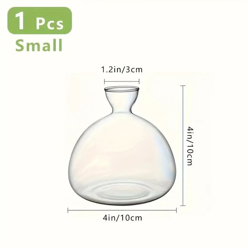 Avocado Seed Starter Glass Bulb Vase 5