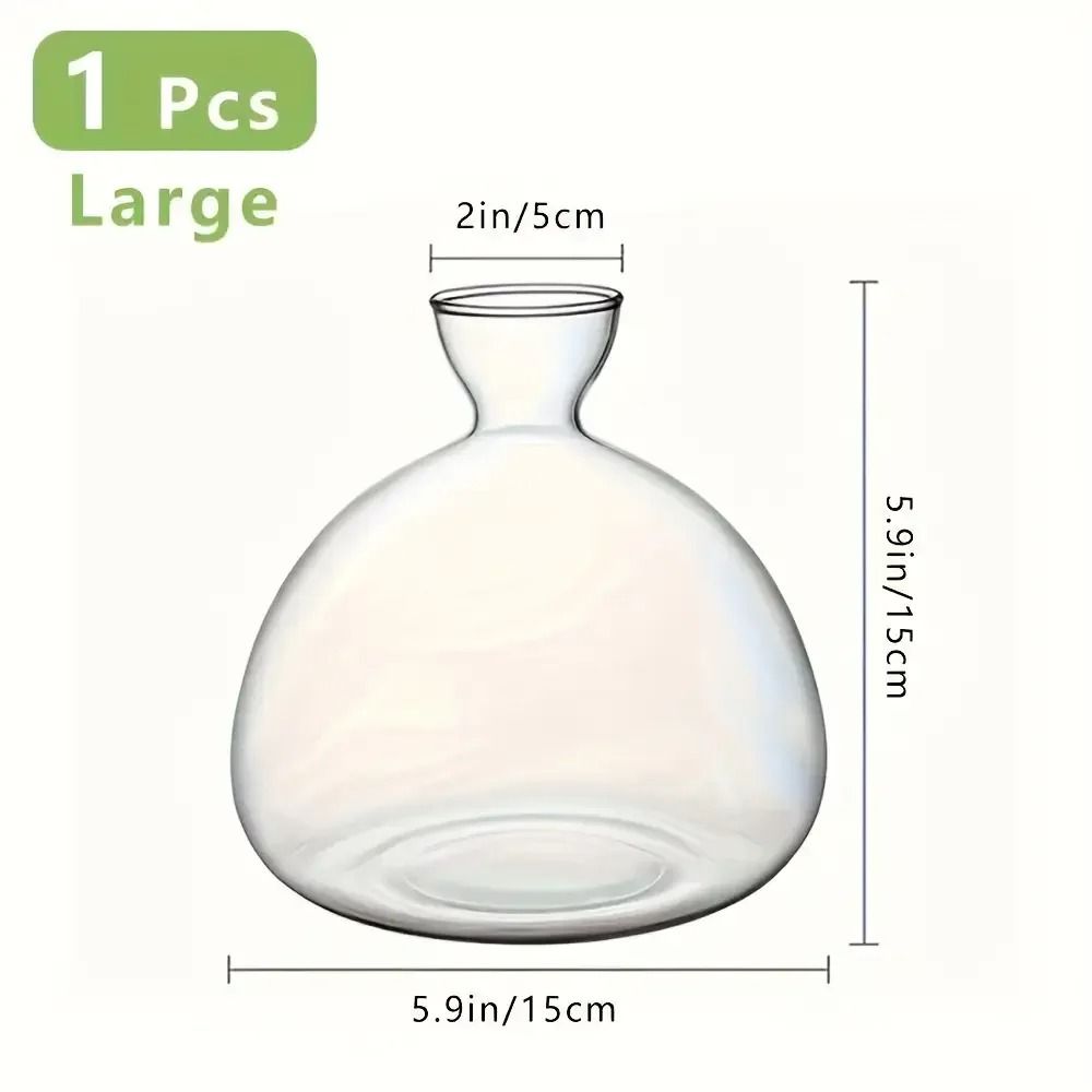 Avocado Seed Starter Glass Bulb Vase 6