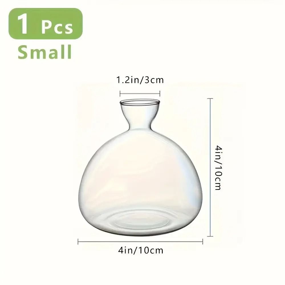 Avocado Seed Starter Glass Bulb Vase 8